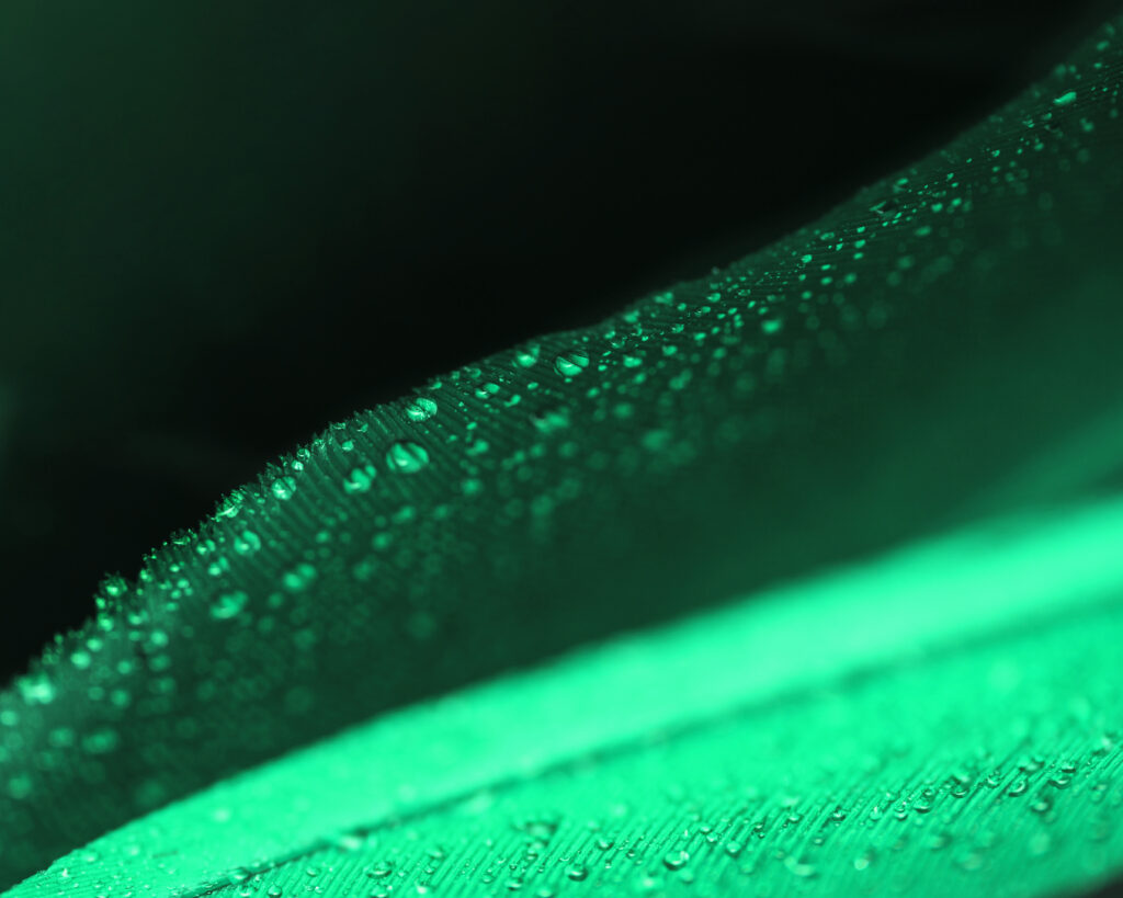 Asesoramiento financiero para construir un futuro estable